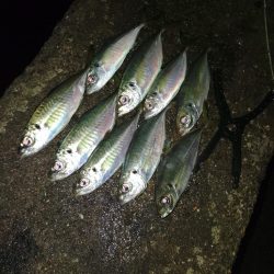 フロートゲーム~