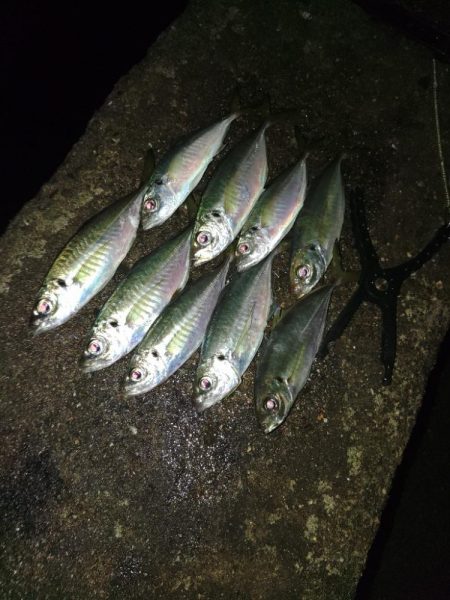 フロートゲーム~