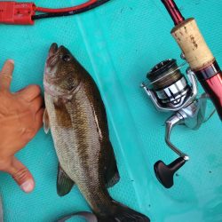 パワーフィネスで1本