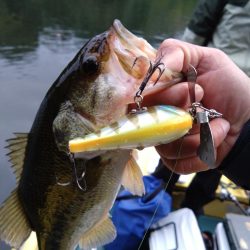 トップとビッグスプーンで釣れました。