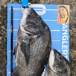 昼からのんびりふかせ釣り🎣