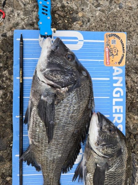 昼からのんびりふかせ釣り🎣…