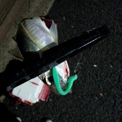 フロートアジング