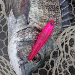 九州遠征ー伊万里チニング