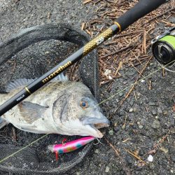 クロスウェイクチニング