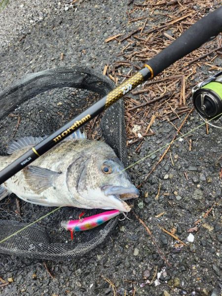 クロスウェイクチニング