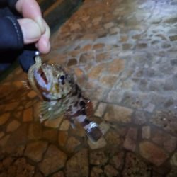 広島市内近場ライトゲーム