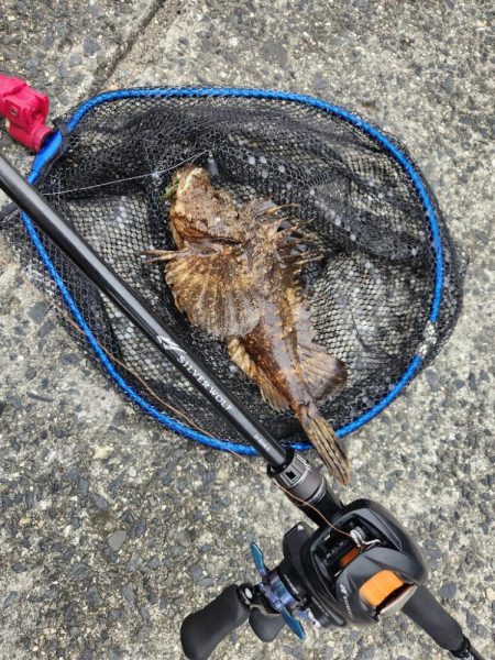 広島市内海エリアボトムゲーム