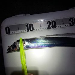 久しぶりに3連発