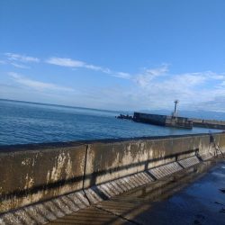 水橋でエギング！アオリ2杯