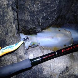 超ヘビータックルエギング