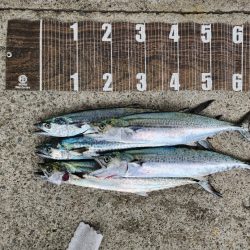 メタルマジック1本勝負