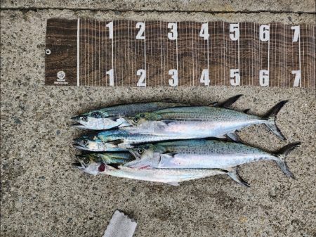 メタルマジック1本勝負