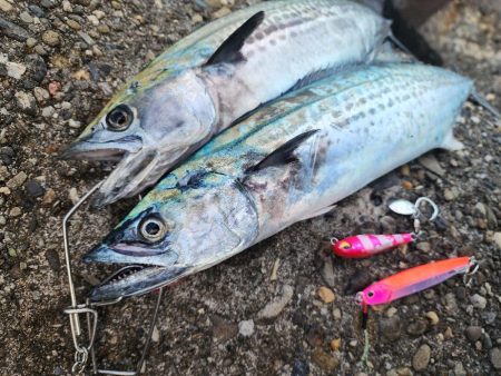 久々カッター(>_<)