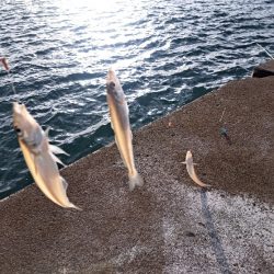 落ちキスが最高