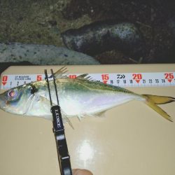 2日連続フロートアジング