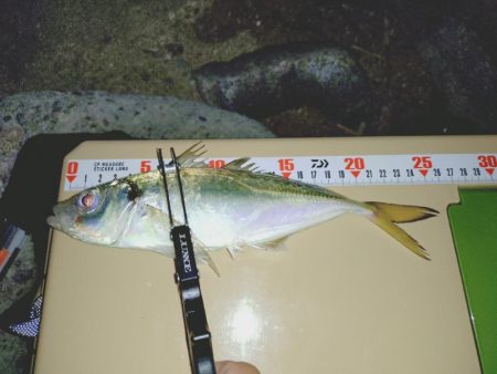 2日連続フロートアジング