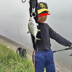 チヌとメッキが釣れました!