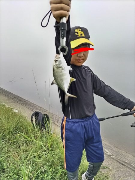 チヌとメッキが釣れました!