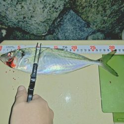 久しぶりのフロートアジング🎣