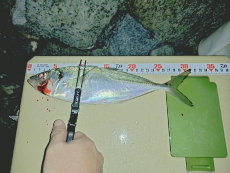 久しぶりのフロートアジング🎣