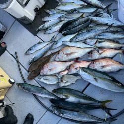 今季初のライトジギング