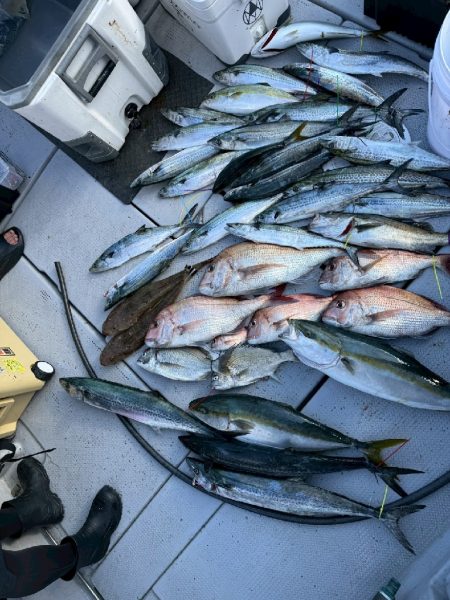 今季初のライトジギング