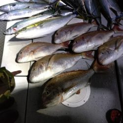 今季2度目のライトジギング