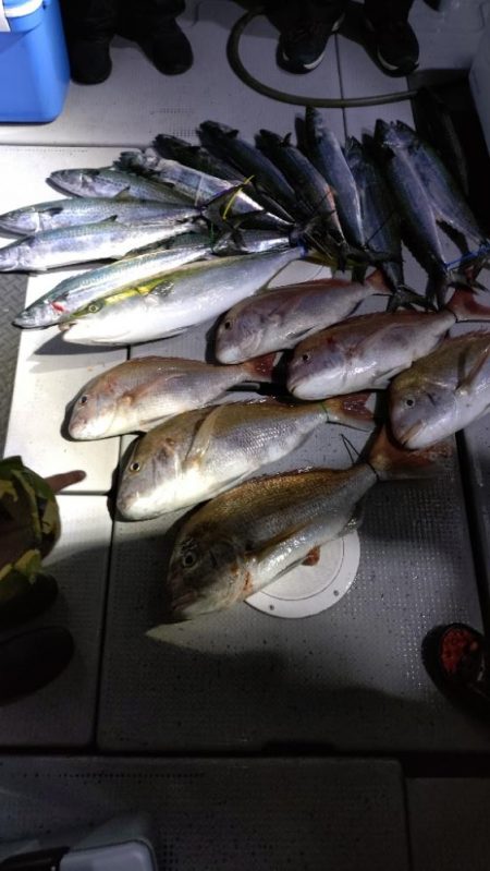 今季2度目のライトジギング