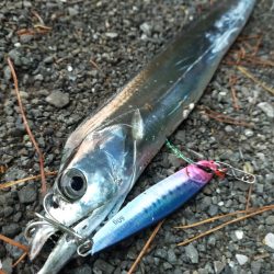 ベイトの湧く量が……