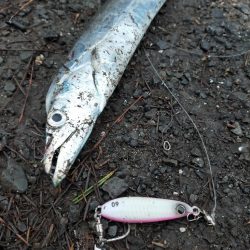 平日も満員御礼