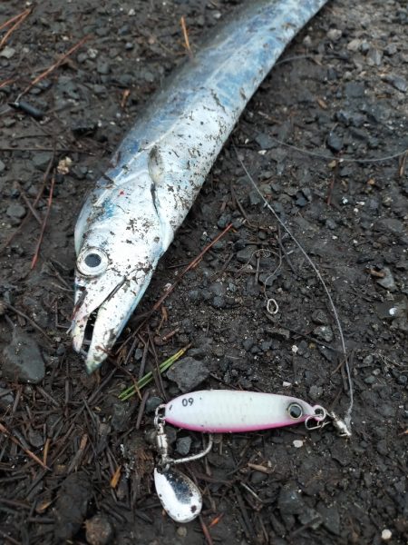 平日も満員御礼