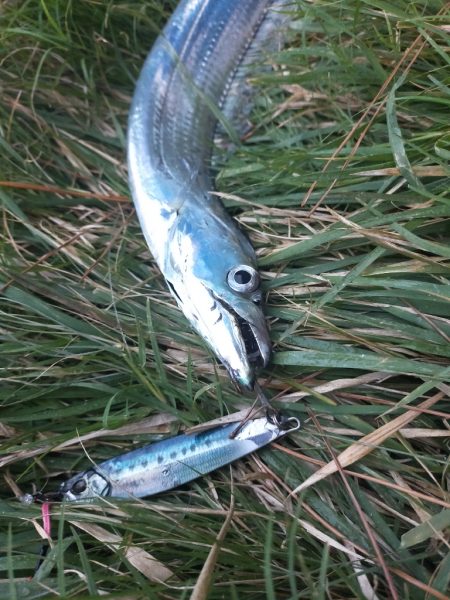 台風22号と23号のはざまで