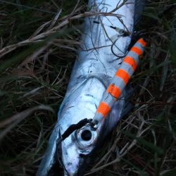 雨でも釣り人集まってます