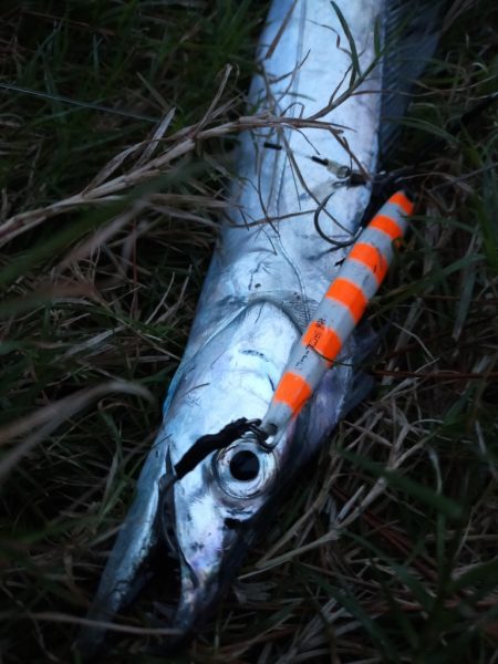 雨でも釣り人集まってます