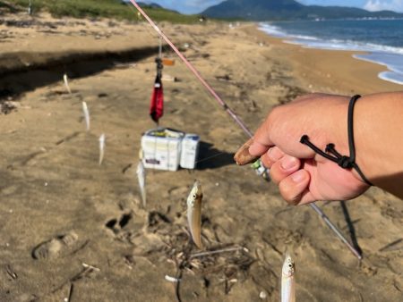 今季はなかなか来ない新松原海岸での投げ釣り…