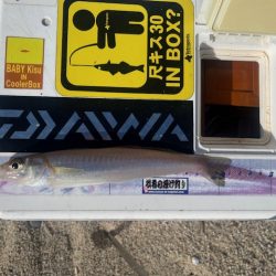 唐津の浜に行ってみました