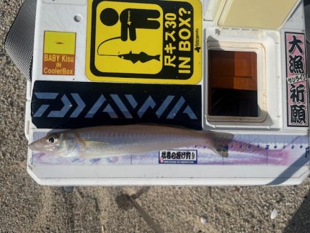 唐津の浜に行ってみました