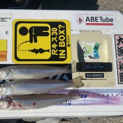 今日も唐津の浜で投げてみました