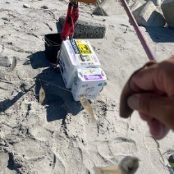 吹上浜で久しぶりに投げ釣りしました