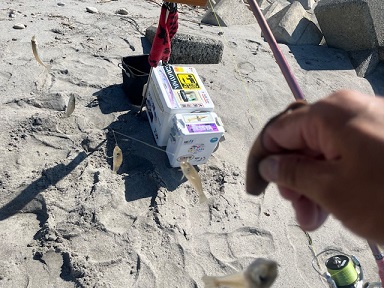 吹上浜で久しぶりに投げ釣りしました