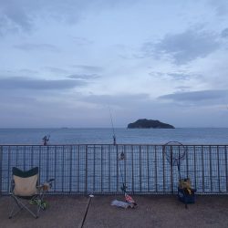 夜釣りで太刀魚