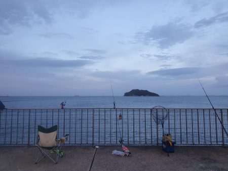 夜釣りで太刀魚