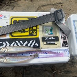 近場のサーフで投げたのですがあまり釣れませんでした