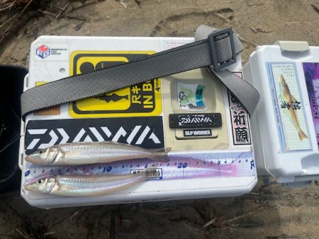 近場のサーフで投げたのですがあまり釣れませ…