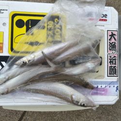 大会の下見で釣ってみました