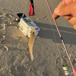 チーム主催の大会を実施しました