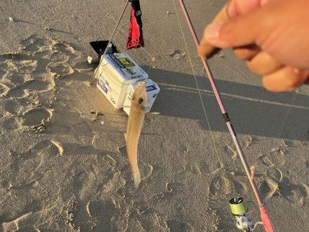 チーム主催の大会を実施しました