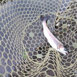 船釣りが中止になってしまったので・・・