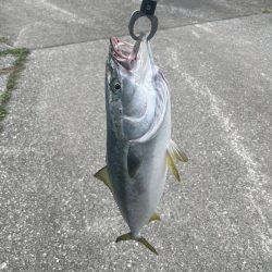 津久見　保戸島